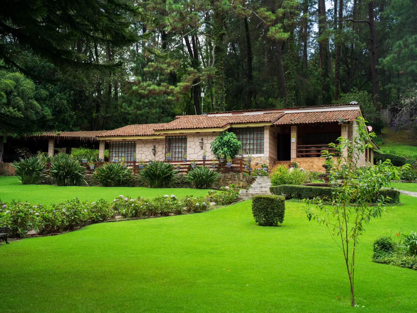 Cabaña de madera entre pinos y jardines de Mazamitla