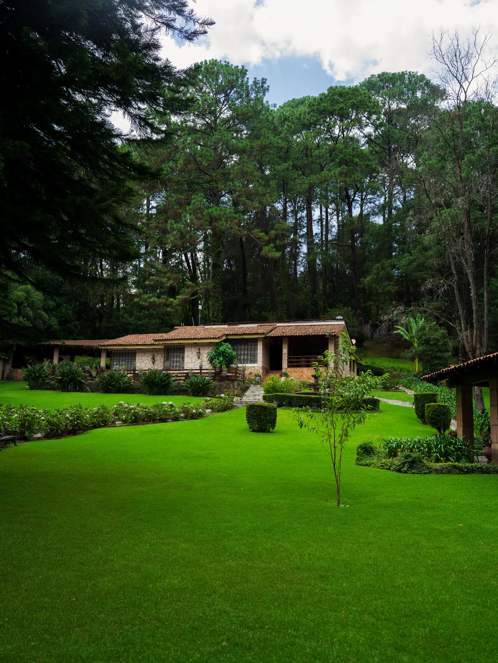 Cabaña y jardín verde en el entorno boscoso de Mazamitla