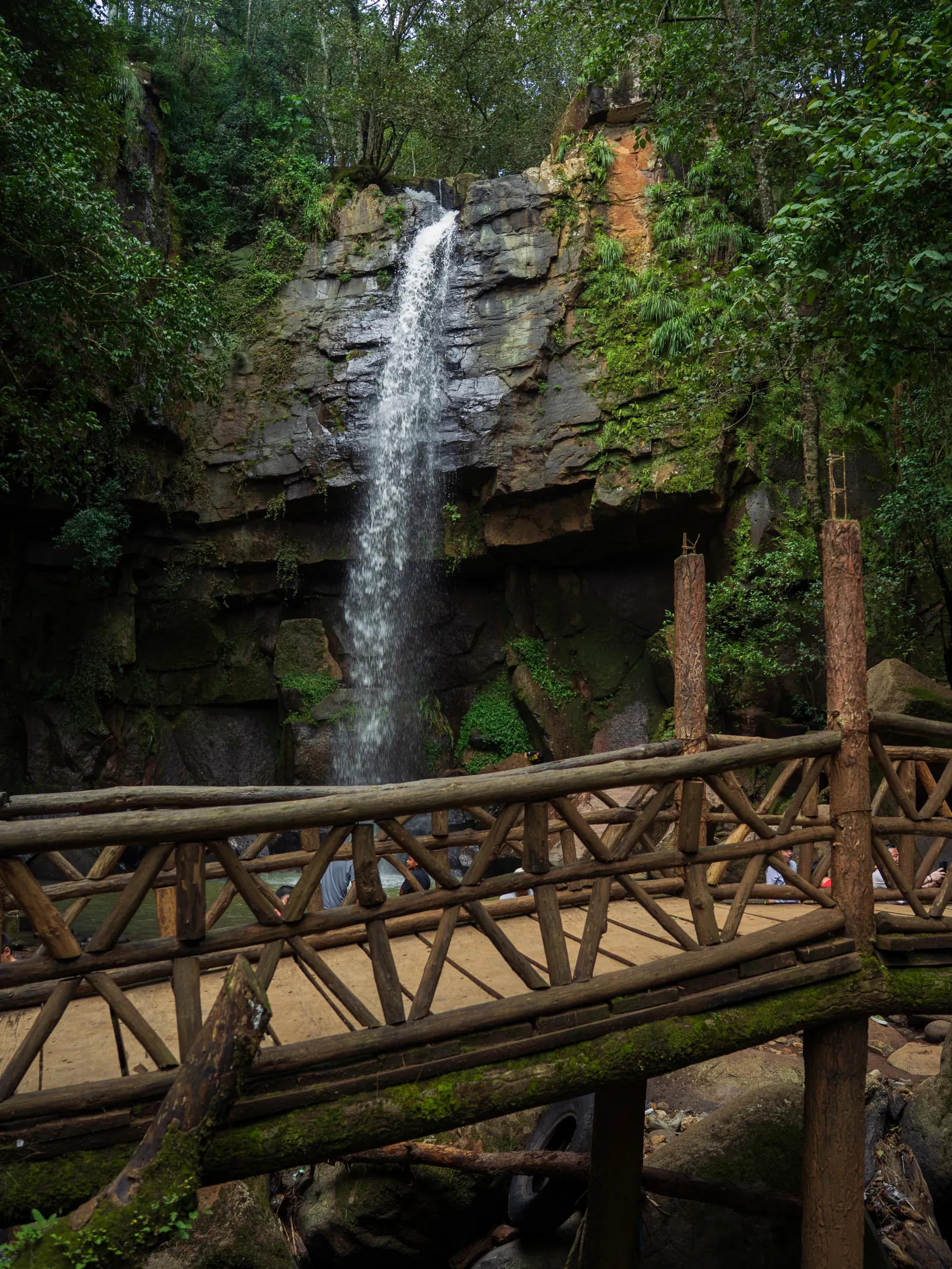 Cascada rodeada de roca y vegetación en Mazamitla
