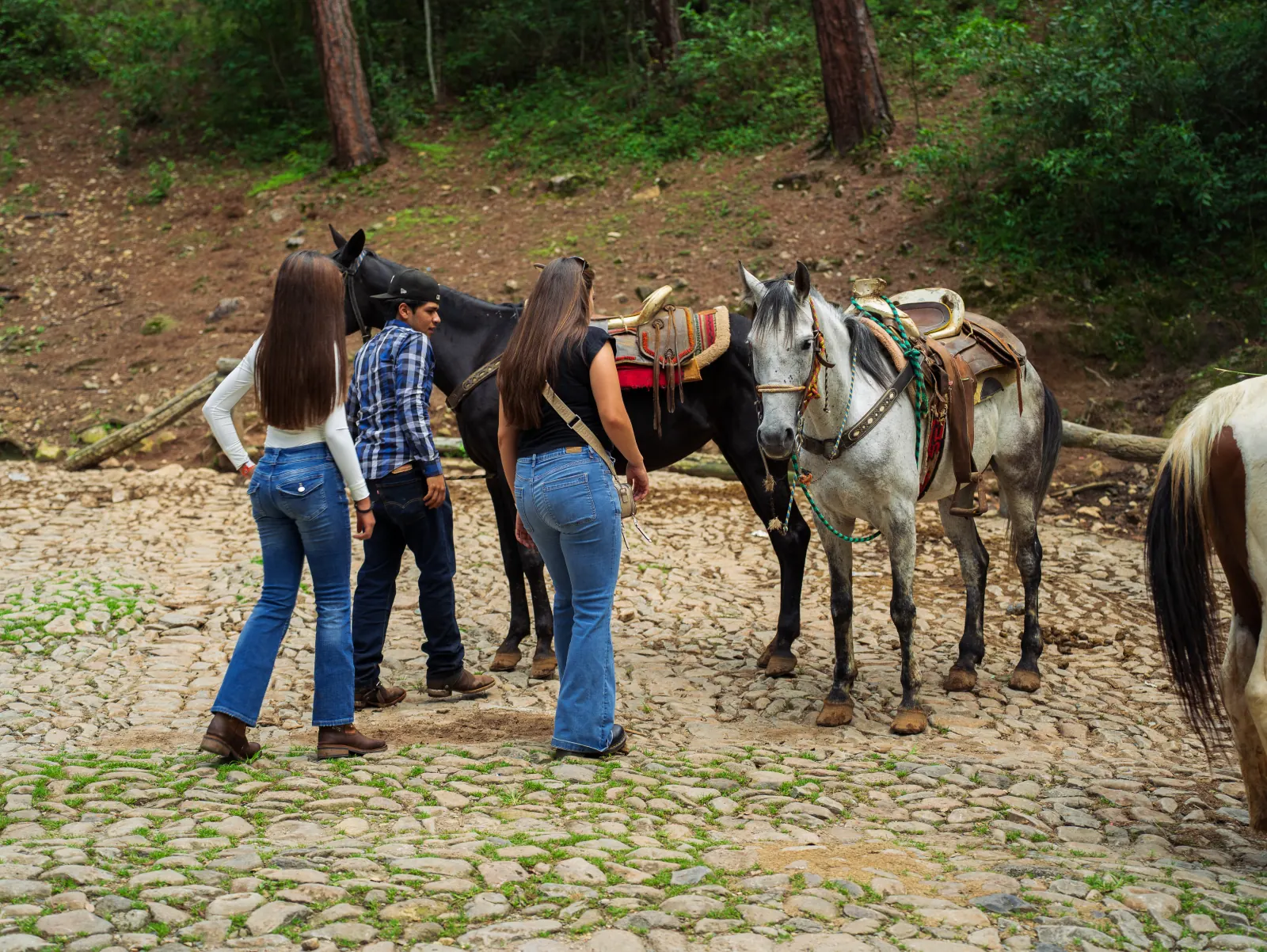 Visitantes junto a caballos en un paseo de Mazamitla